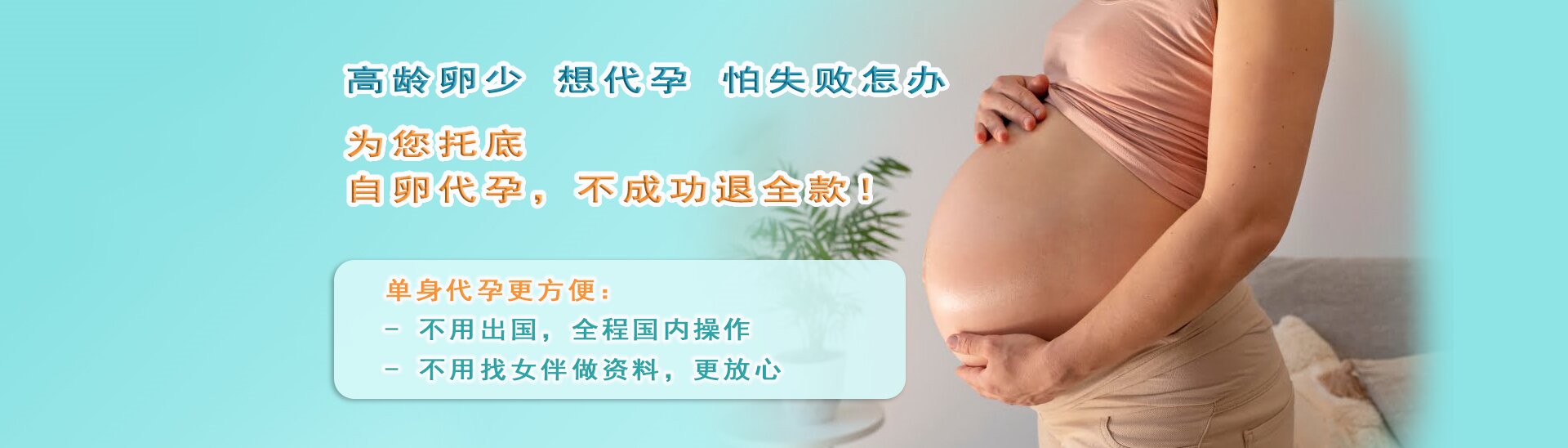 德国代孕