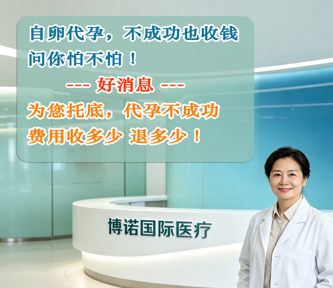 德国代孕
